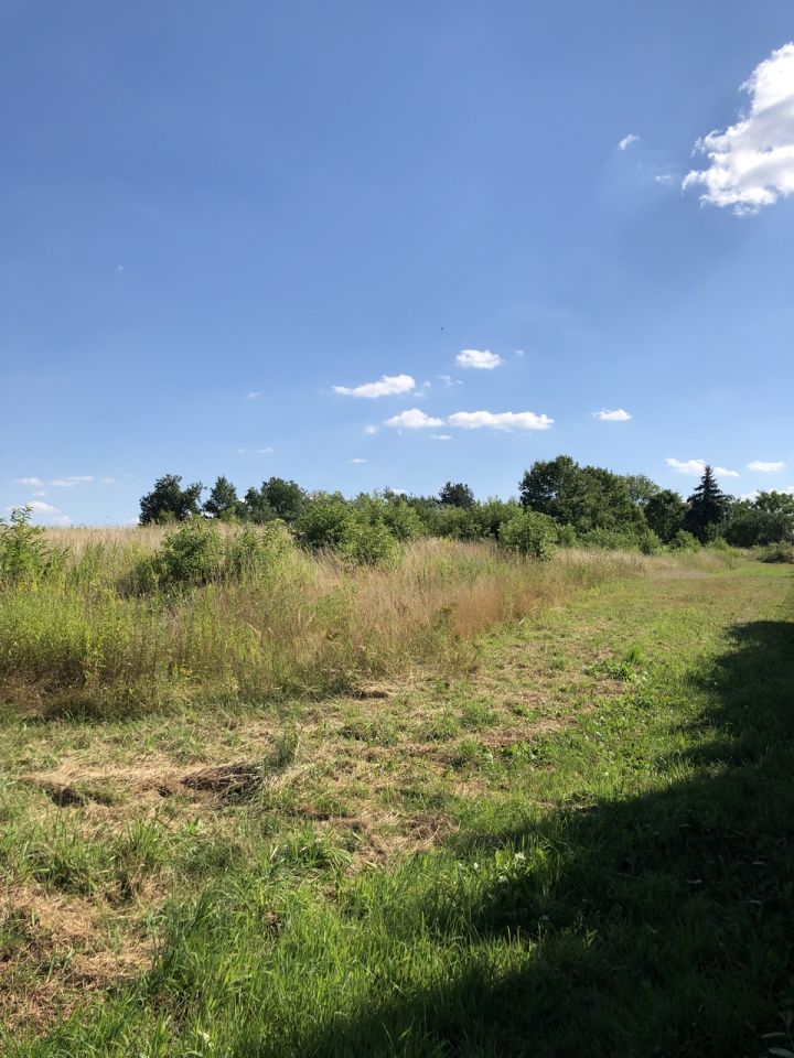 Działka budowlana Mrowiny, ul. Sportowa. Zdjęcie 2