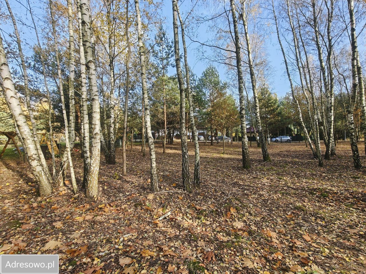 Działka budowlana Stare Skoszewy. Zdjęcie 7