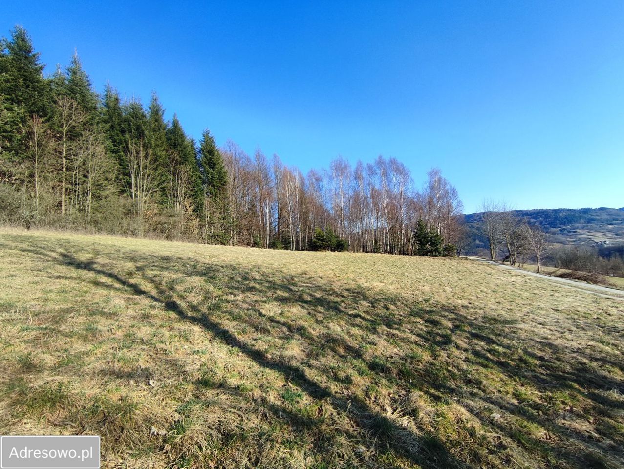 Działka budowlana Tokarnia. Zdjęcie 3