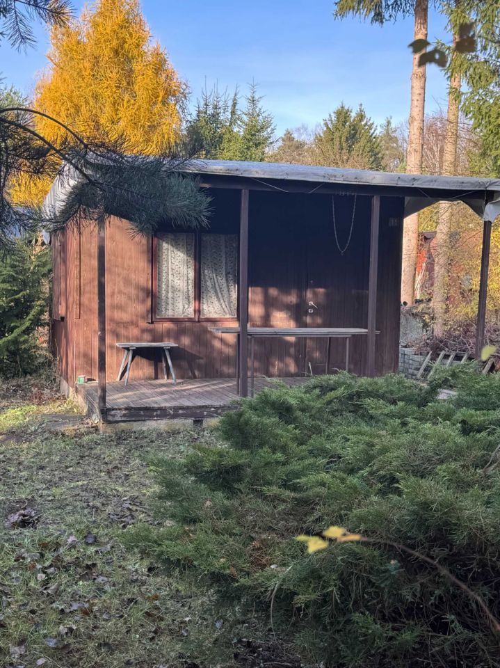 Działka rod Kanie. Zdjęcie 3