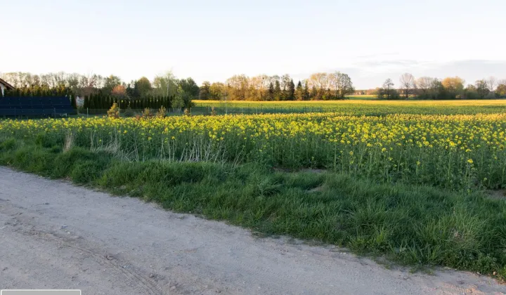 Działka budowlana Grzebienisko, ul. Parkowa