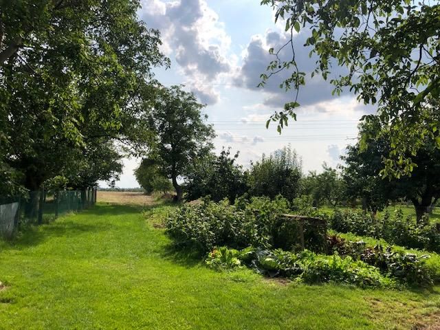 dom wolnostojący, 3 pokoje Jędrzejów. Zdjęcie 9