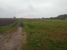 Działka budowlana Bełchów. Zdjęcie 4