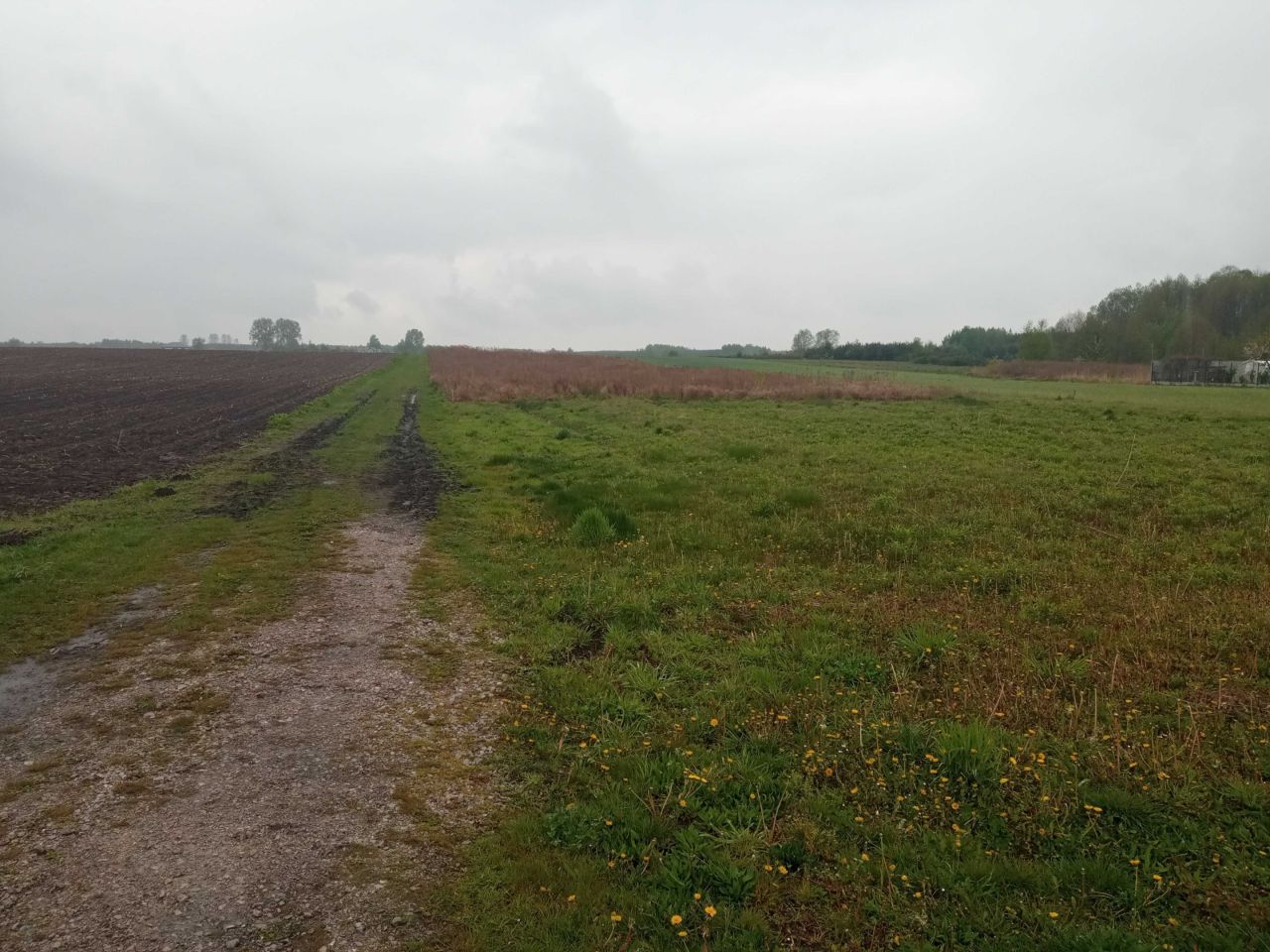 Działka budowlana Bełchów. Zdjęcie 5