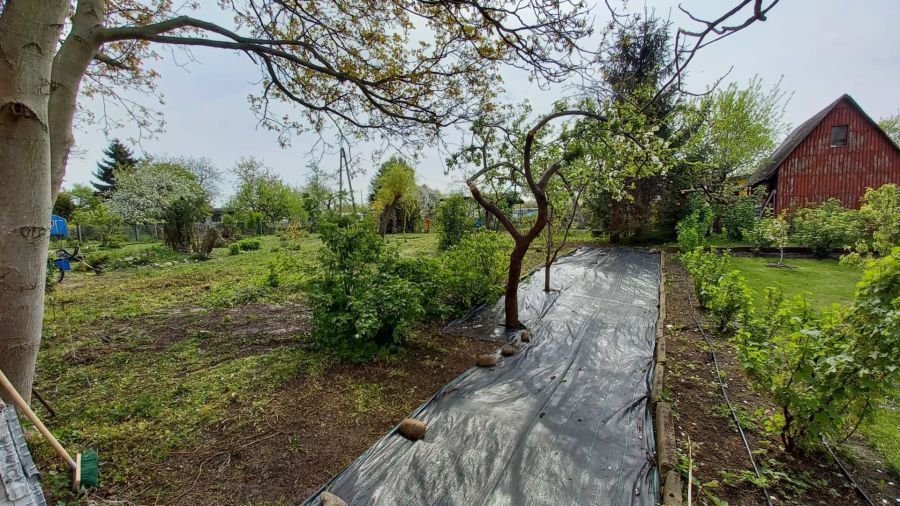 Działka rekreacyjna Gdańsk Wrzeszcz, al. gen. Józefa Hallera