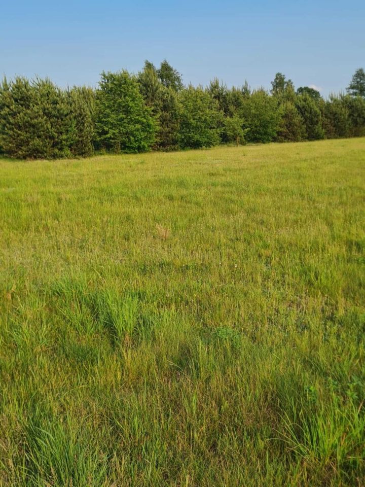 Działka rolno-budowlana Anastazew