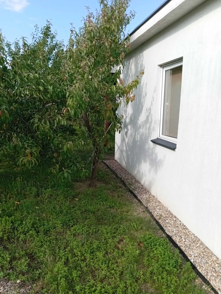 Działka rod Widziszewo. Zdjęcie 4