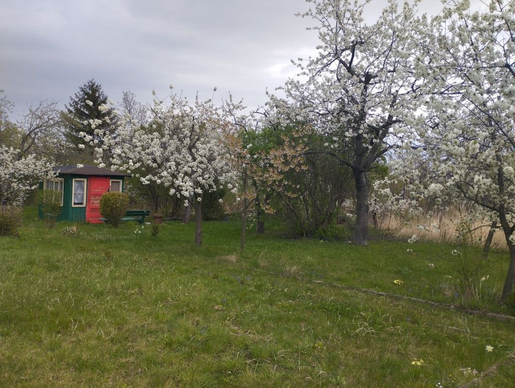 Działka rod Bielawa. Zdjęcie 8