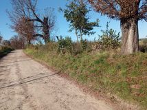 Działka rolna Minoga. Zdjęcie 4