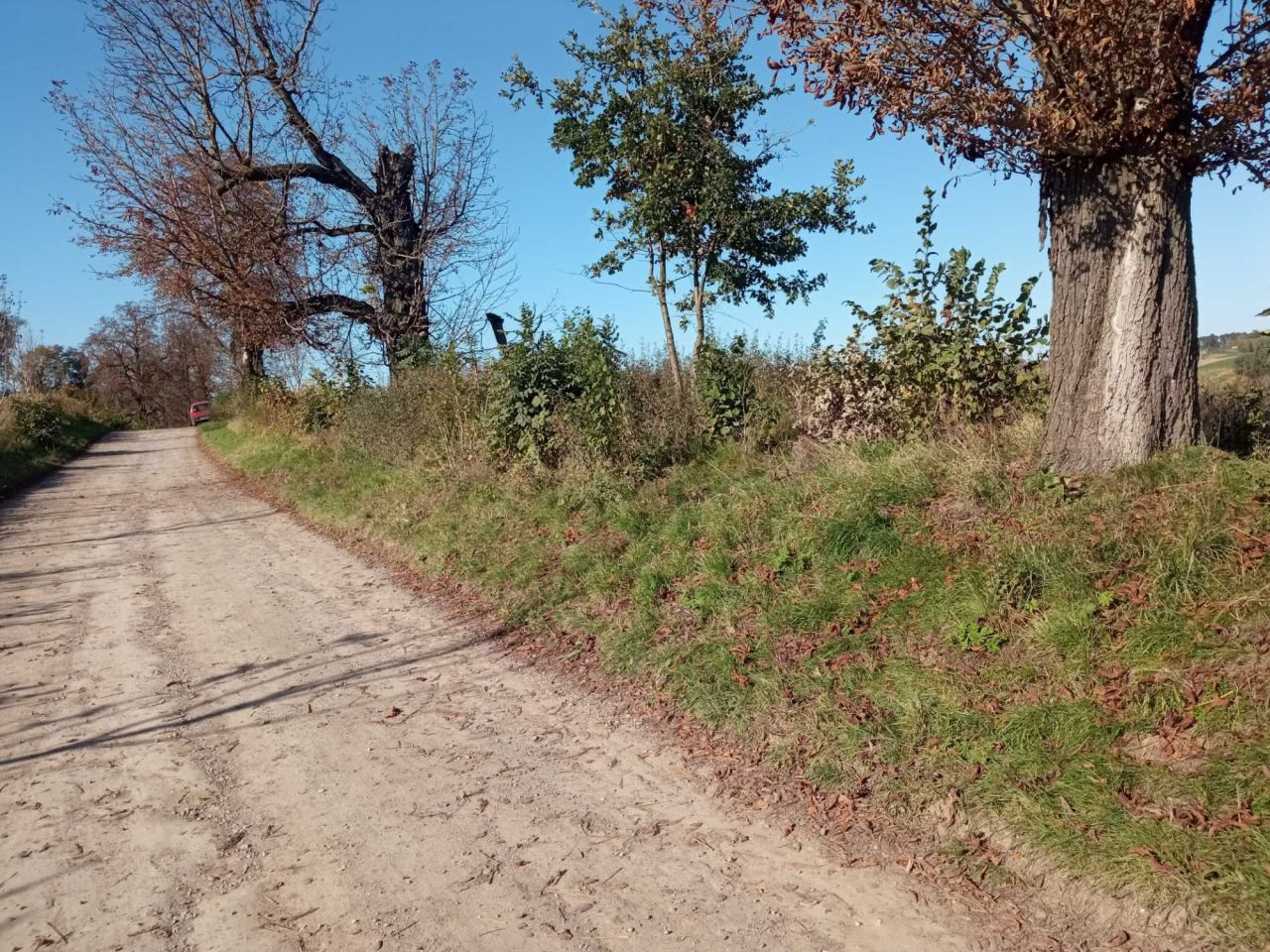 Działka rolna Minoga. Zdjęcie 5