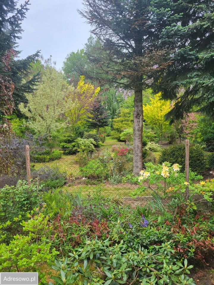 dom wolnostojący, 3 pokoje Dąbrówka Morska. Zdjęcie 14