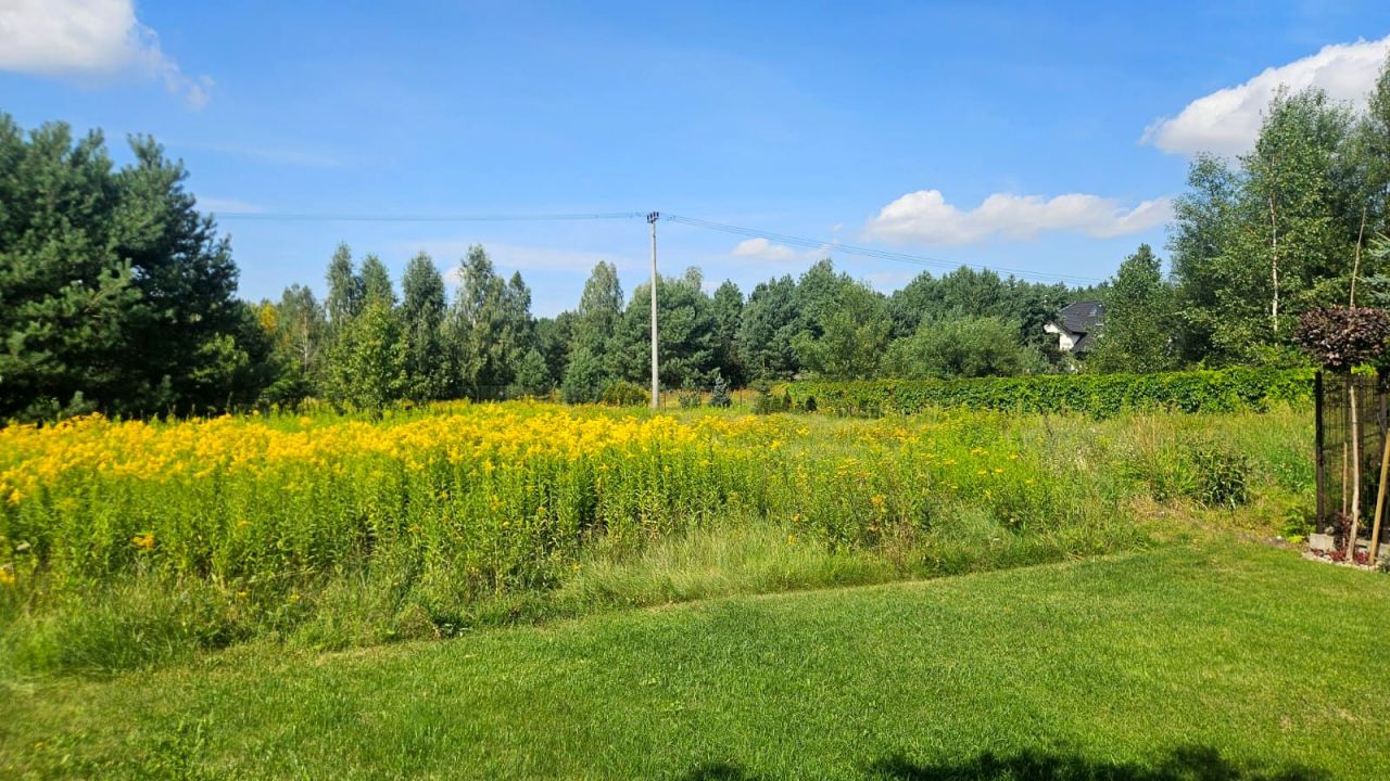 Działka budowlana Czarne Błoto, ul. Pod Dębami