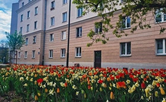 Mieszkanie 2-pokojowe Warszawa Śródmieście, ul. Mordechaja Anielewicza. Zdjęcie 9