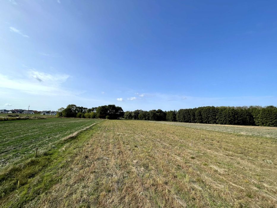 Działka budowlana Siedliszcze. Zdjęcie 2