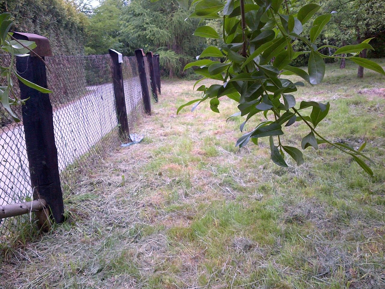 Działka budowlana Sucha Beskidzka Smolikówka, ul. Turystyczna. Zdjęcie 3