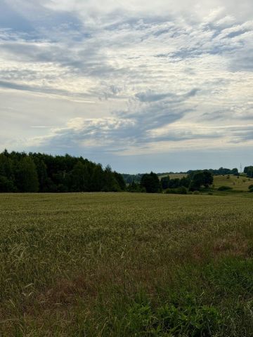 Działka budowlana Gardzko. Zdjęcie 1