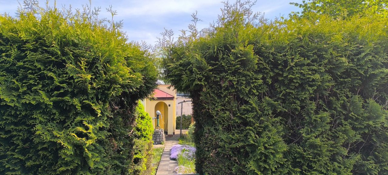 Działka rod Poznań Ławica. Zdjęcie 7