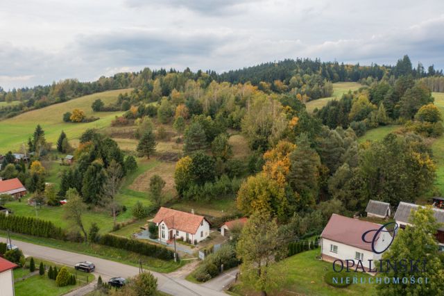 dom wolnostojący, 4 pokoje Bezmiechowa Dolna. Zdjęcie 17