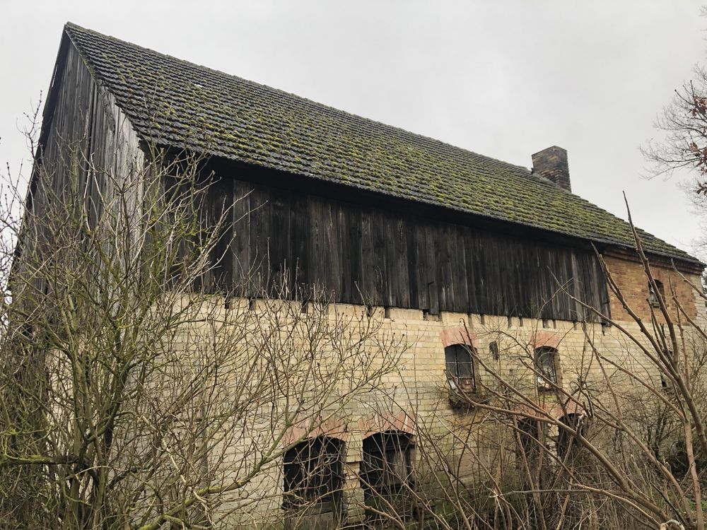 gospodarstwo Żółwin. Zdjęcie 2