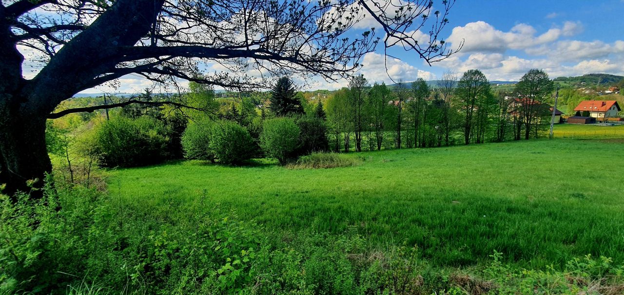 Działka budowlana Gorlice Korczak, ul. Graniczna. Zdjęcie 2