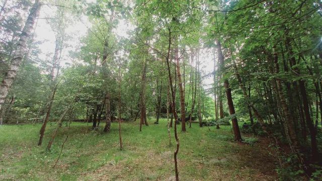 Działka budowlana Złotokłos. Zdjęcie 22