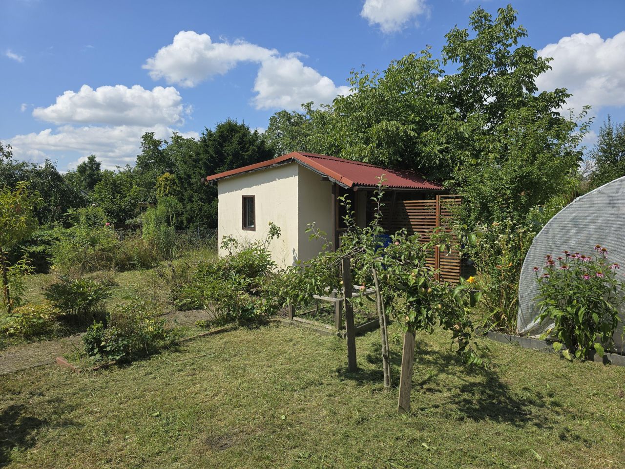 Działka rod Wrocław Krzyki, ul. Wilcza. Zdjęcie 2