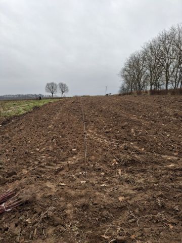 Działka rolno-budowlana Tarnogród. Zdjęcie 1