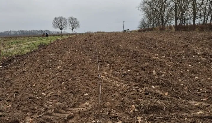 Działka rolno-budowlana Tarnogród