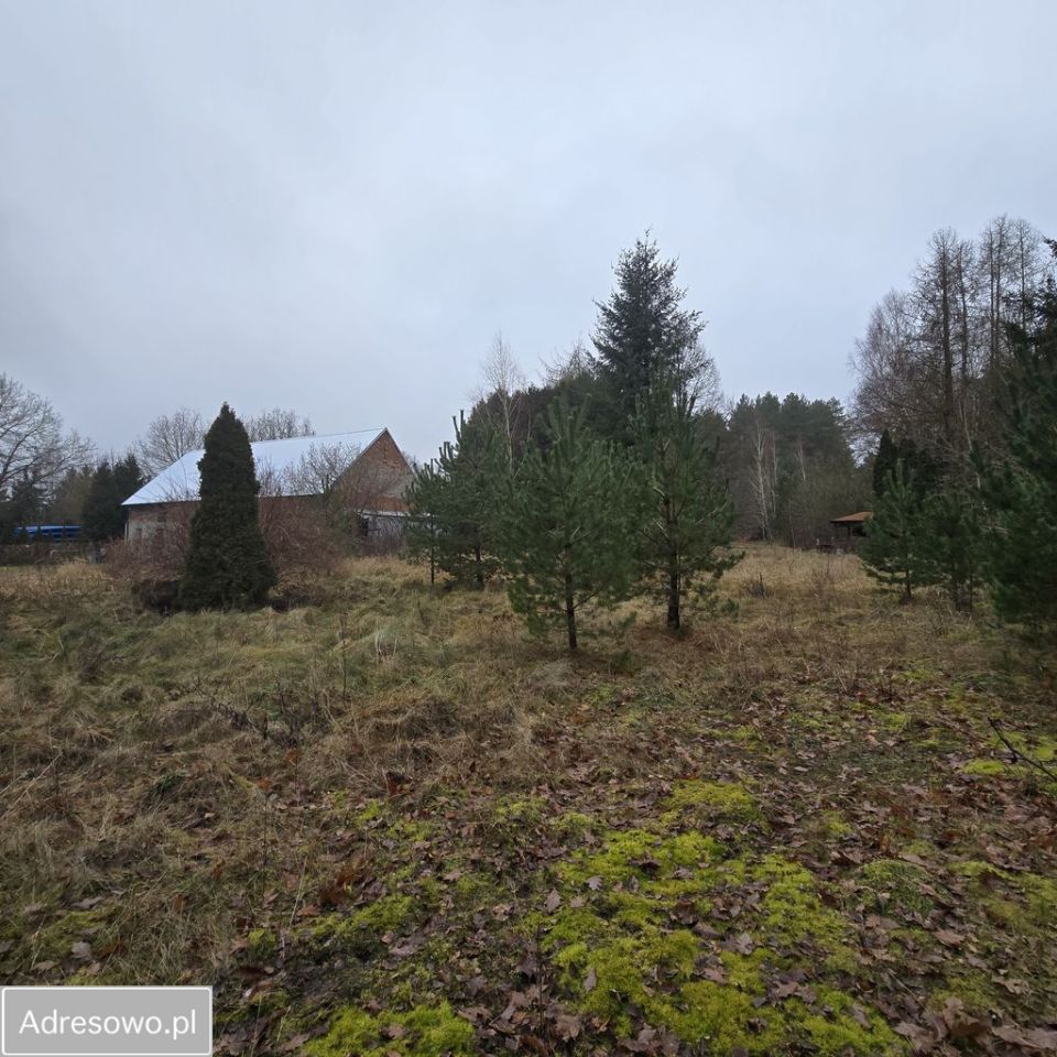 Działka Bolechowo. Zdjęcie 8