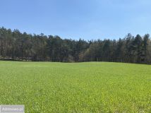 Działka Żagno. Zdjęcie 1