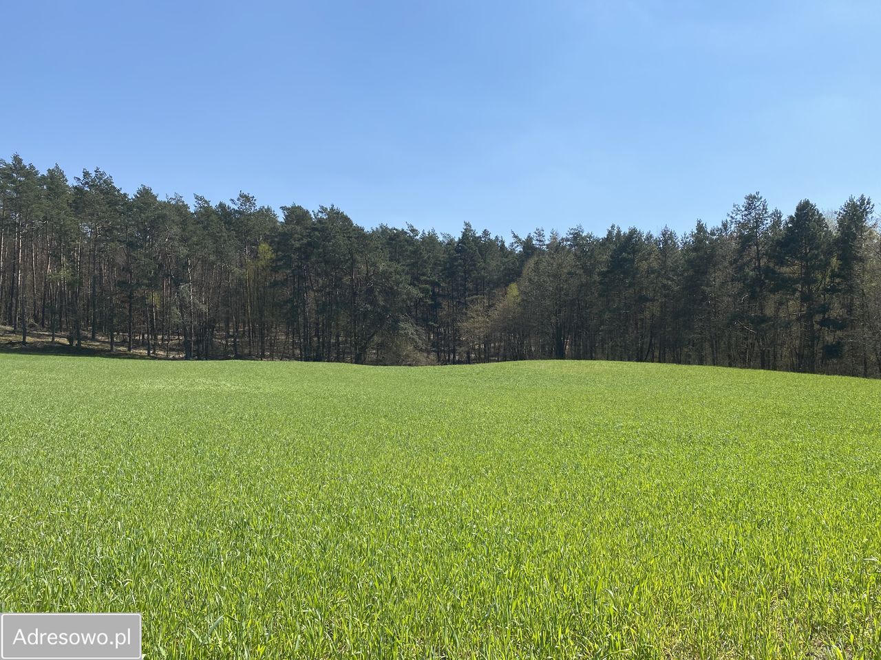 Działka Żagno. Zdjęcie 2