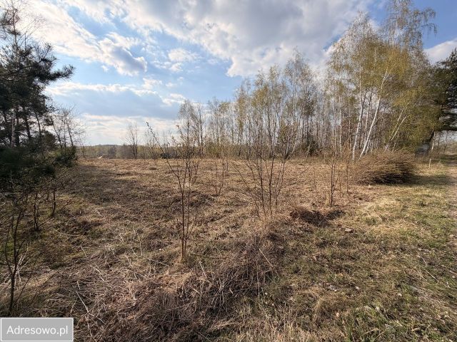 Działka budowlana Leonardów. Zdjęcie 1