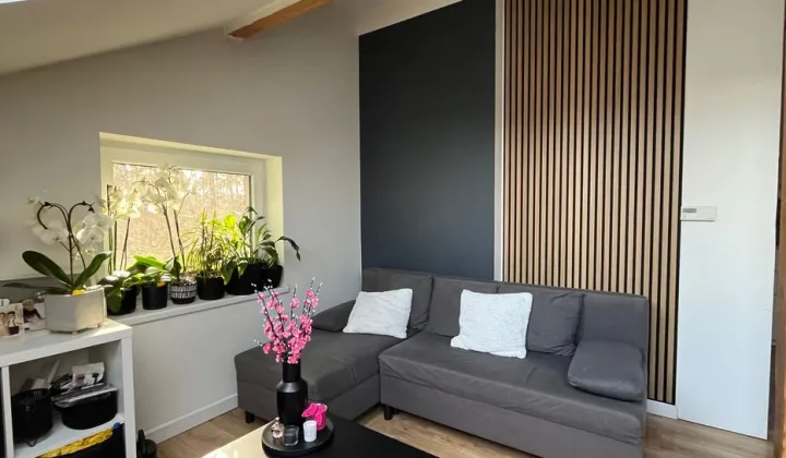 Mieszkanie 3-pokojowe Dąbrowa