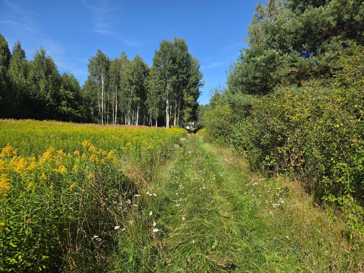 Działka budowlana Górki. Zdjęcie 8