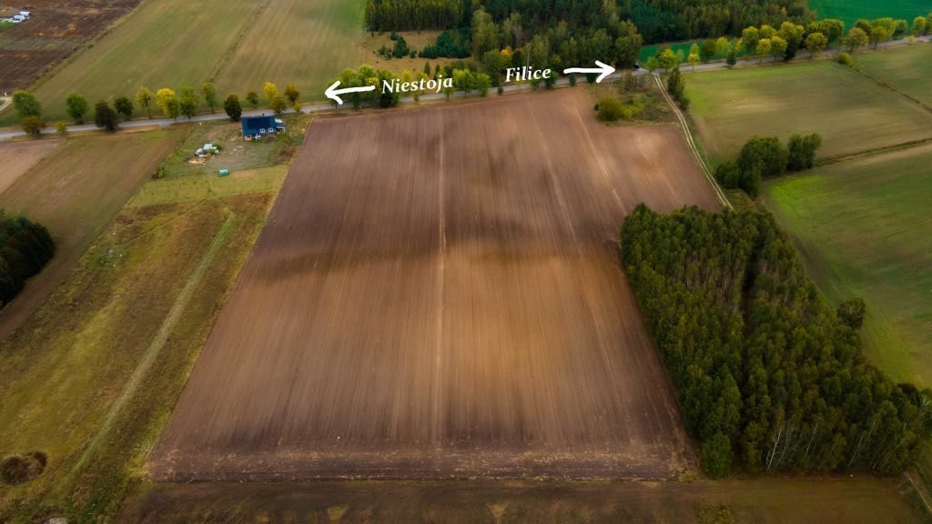 Działka budowlana Niestoja. Zdjęcie 2