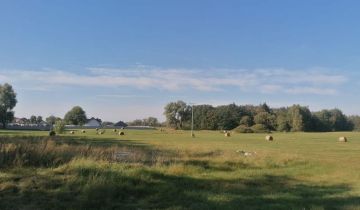 Działka budowlana Rychnów