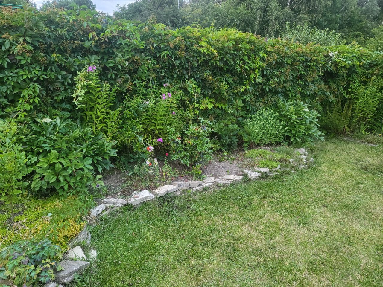 Działka rod Chorzów Pniaki, ul. Opolska. Zdjęcie 8