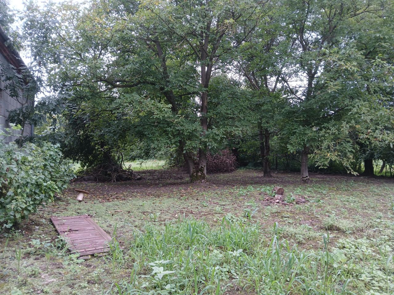 dom wolnostojący, 2 pokoje Ostrówek. Zdjęcie 7