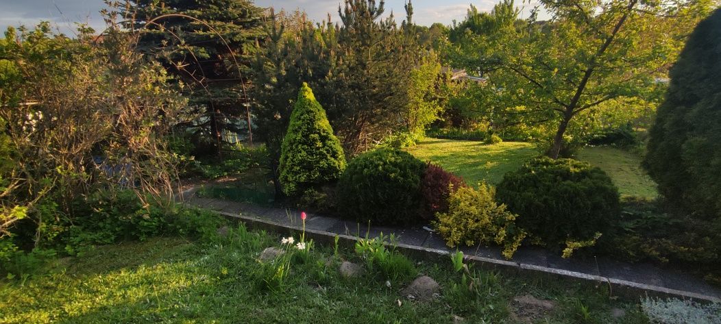 Działka rod Ostróda, ul. 21 Stycznia. Zdjęcie 5