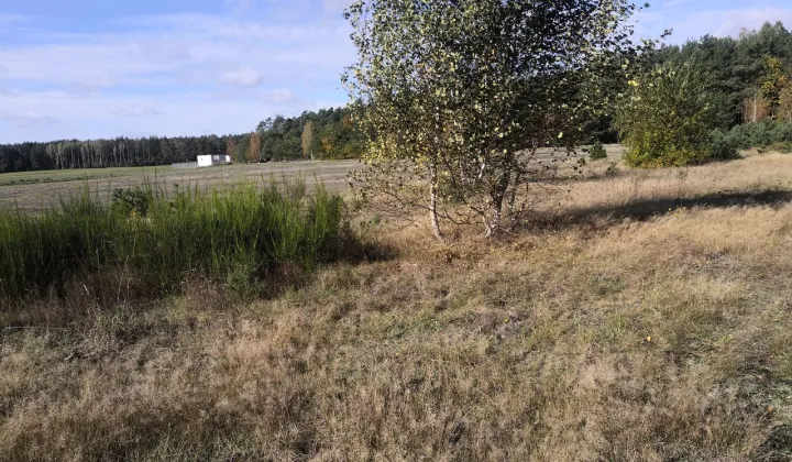 Działka budowlana Puszcza Rządowa