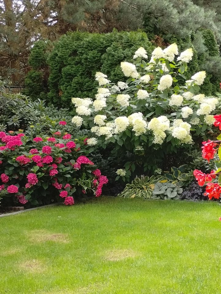 Mieszkanie 2-pokojowe Józefosław, ul. Wenus. Zdjęcie 11