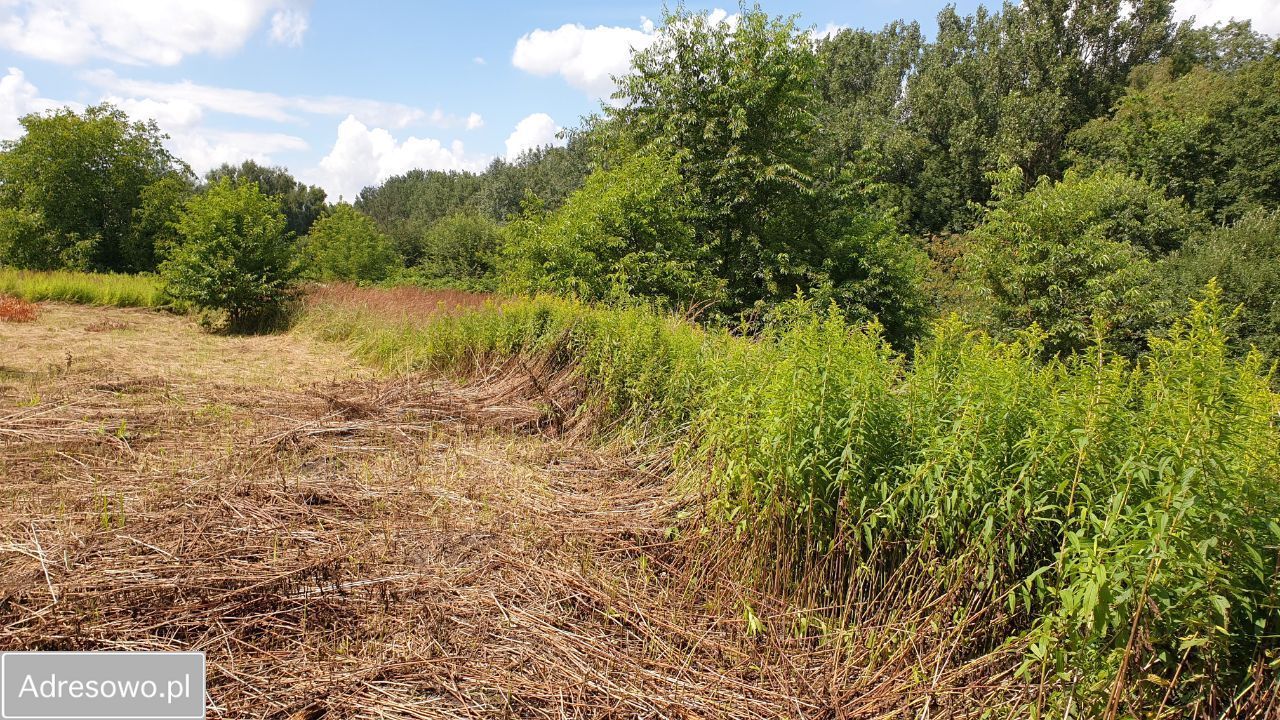 Działka budowlana Zabrze Pawłów, ul. gen. Władysława Sikorskiego. Zdjęcie 6