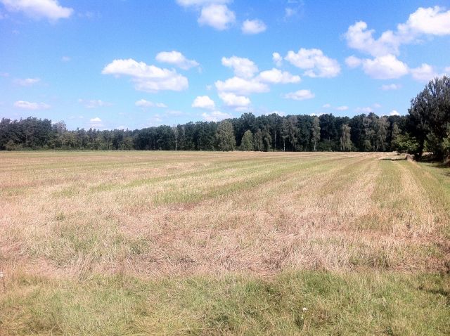 Działka budowlana Trzcianka, Trzcianka. Zdjęcie 1