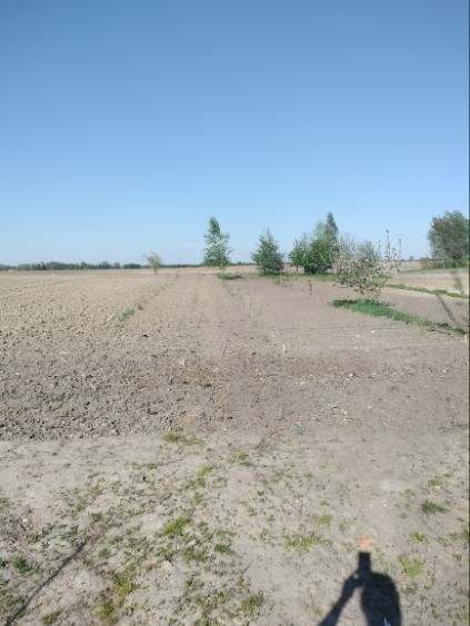 Działka budowlana Ignatów-Kolonia