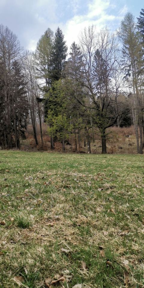 Działka budowlana Dłużec. Zdjęcie 3