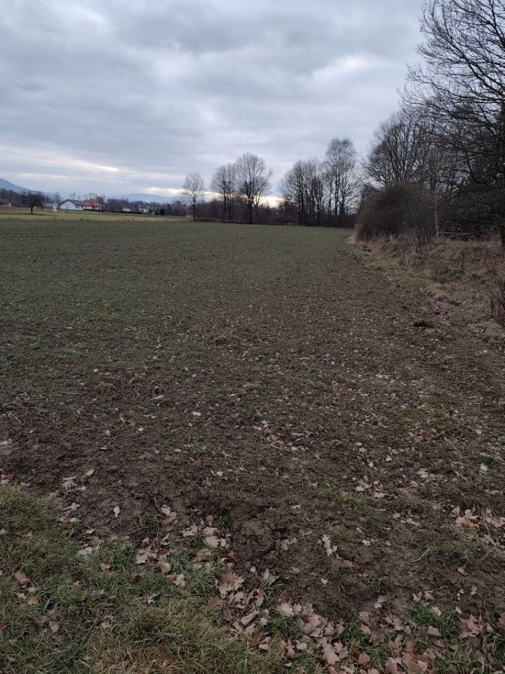 Działka budowlana Hecznarowice, ul. Stawowa. Zdjęcie 5