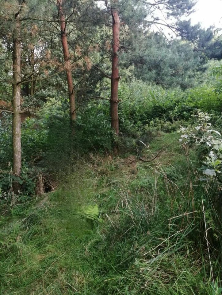Działka rolno-budowlana Radlin Głożyny, ul. Wrzosowa. Zdjęcie 7