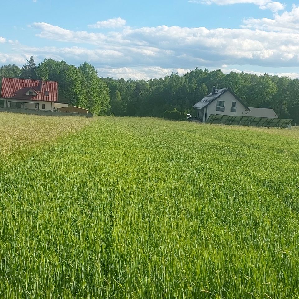Działka budowlana Poręba Niwki, ul. Borkowa. Zdjęcie 5