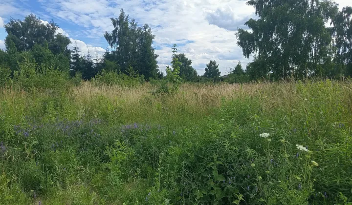 Działka budowlana Niekłonice, ul. Morelowa