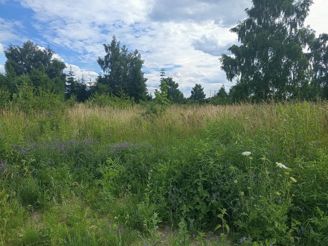 Działka budowlana Niekłonice, ul. Morelowa. Zdjęcie 1